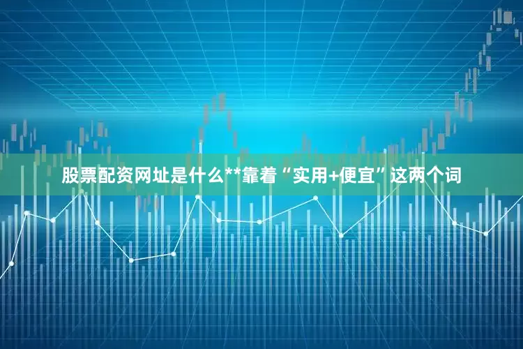 股票配资网址是什么**靠着“实用+便宜”这两个词