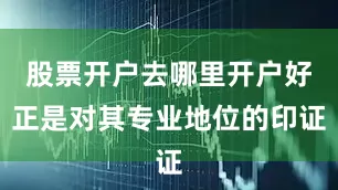 股票开户去哪里开户好正是对其专业地位的印证