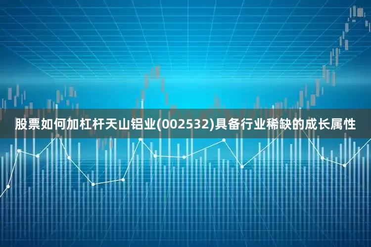 股票如何加杠杆天山铝业(002532)具备行业稀缺的成长属性